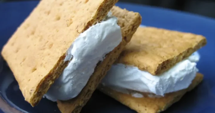 WEIGHT WATCHERS 1 POINT ICE CREAM SANDWICH