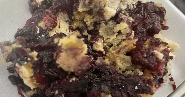 Three Ingredient Blueberry Dump Cake